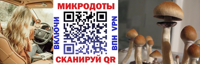 Псилоцибиновые грибы прущие грибы  Арамиль 